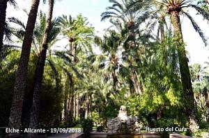 19 ELCHE HUERTO DEL CURA (13)